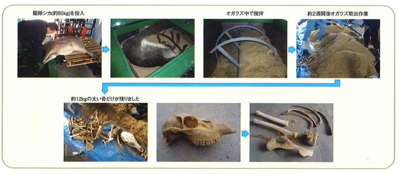 駆除シカの分解処理装置